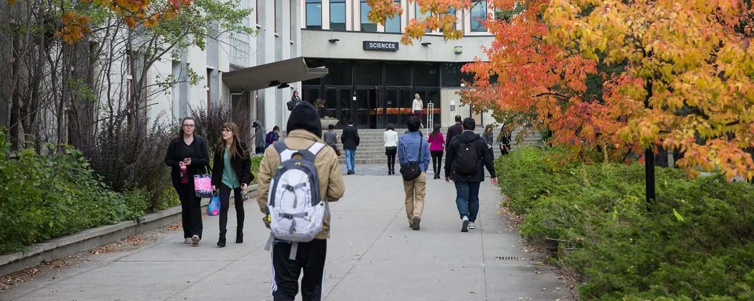 Campus entrepreneurship is increasing for international students